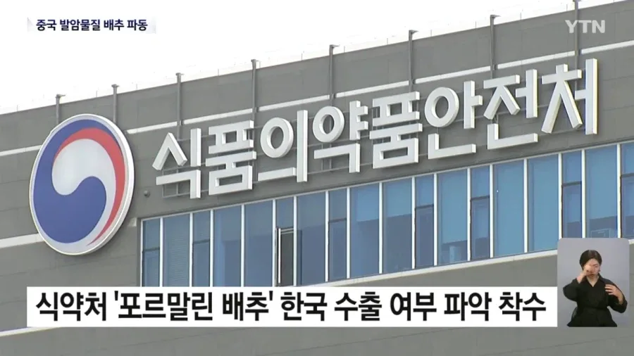 중국 '발암물질 배추' 파동