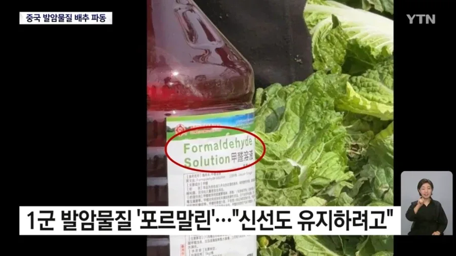 중국 '발암물질 배추' 파동