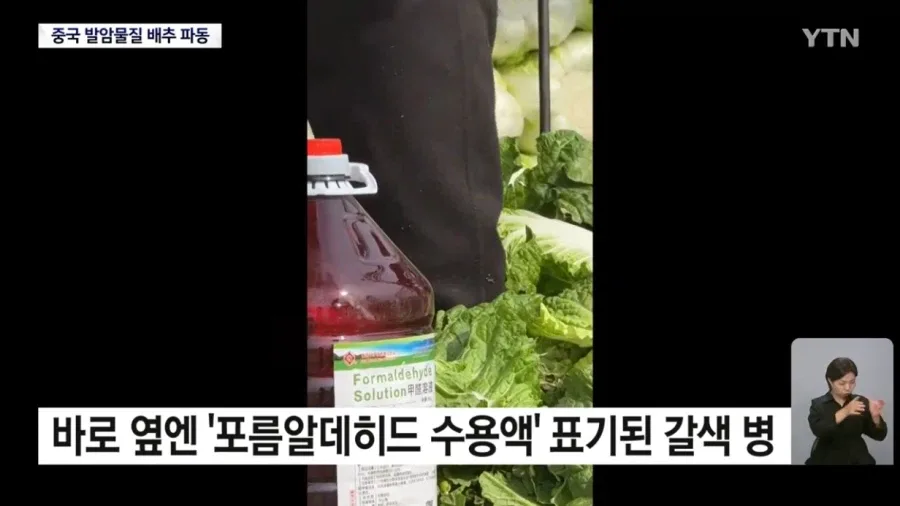 중국 '발암물질 배추' 파동