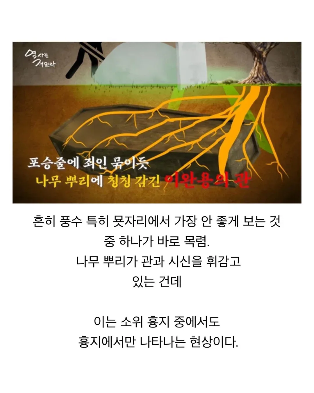 매국노는 명당도 악지 중 악지로 만든다.