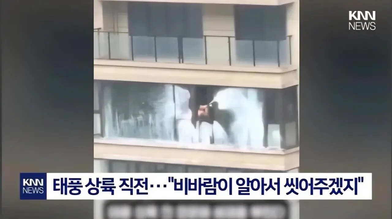 태풍이 창문 닦아줄거라 믿었던 청년의 결말