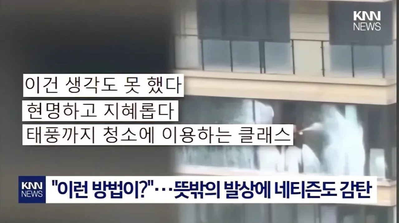 태풍이 창문 닦아줄거라 믿었던 청년의 결말
