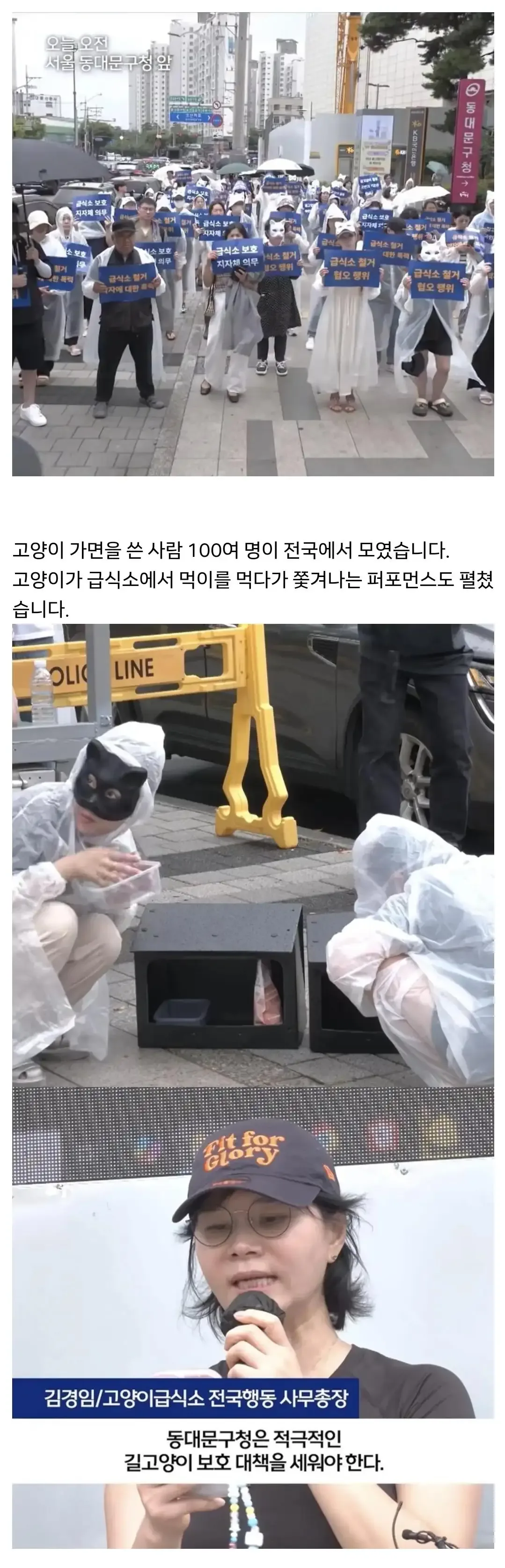 지난 6월 출범한 고양이 급식소 전국행동 (고급행동)