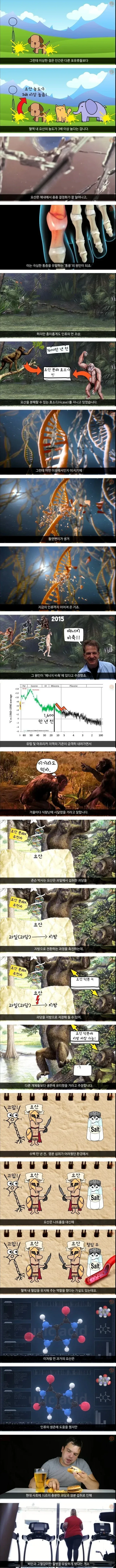 통풍에 걸리는 이유