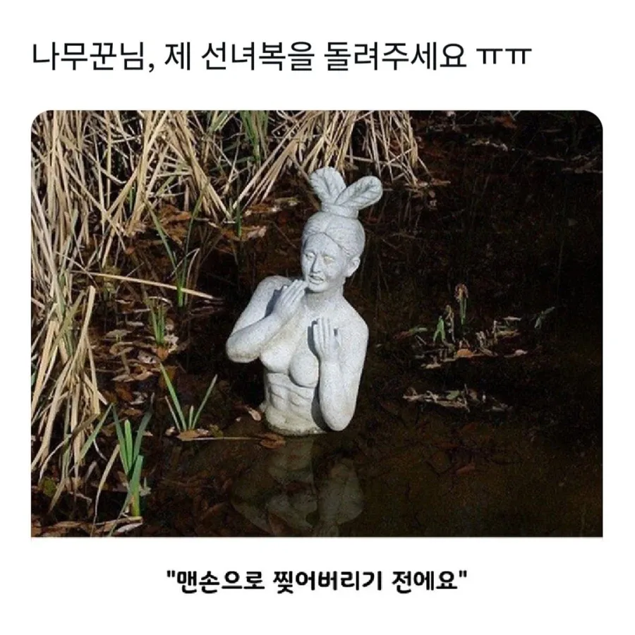 나무꾼님 제 선녀복 좀 돌려주세요.
