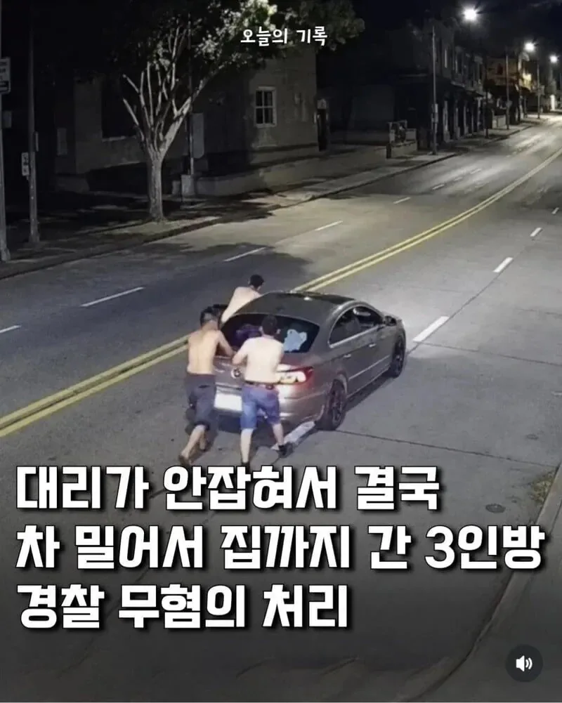 죽어도 음주운전은 안한다
