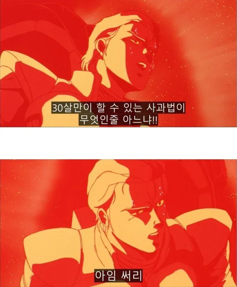 서른살만 할 수 있는 사과법