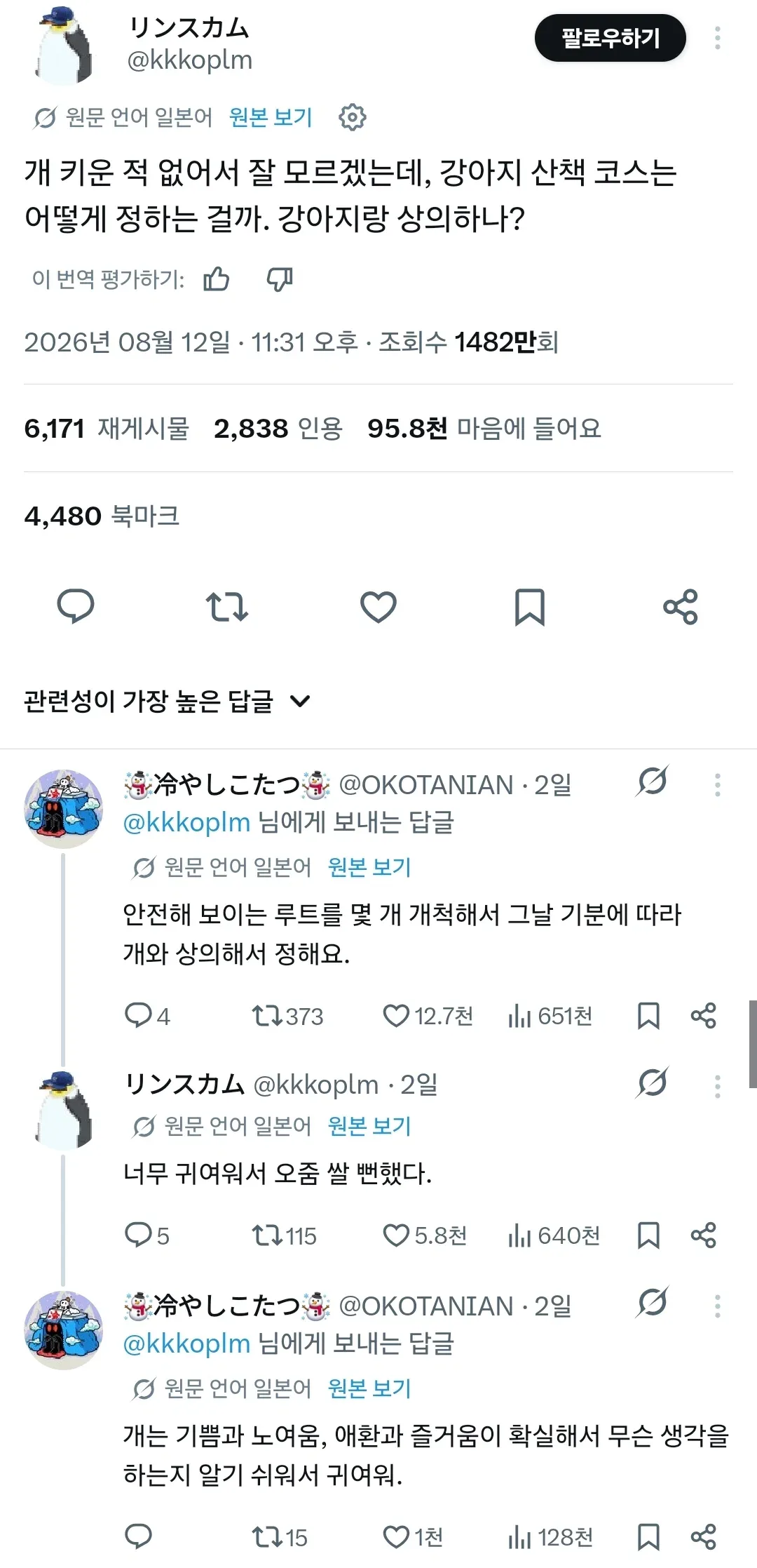 강아지 산책 코스는 어떻게 정하나요? 강아지랑 상의하나?