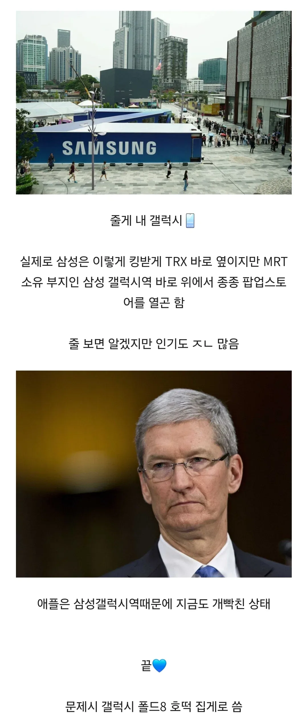 애플: 내 집에 다른 사람 들이지 마 삼성: 응 너네 집 현관 내꺼