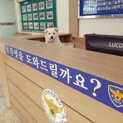 경찰이 '사건 종결' 시켜버린 제주 실종 여성은 37세 장미란씨