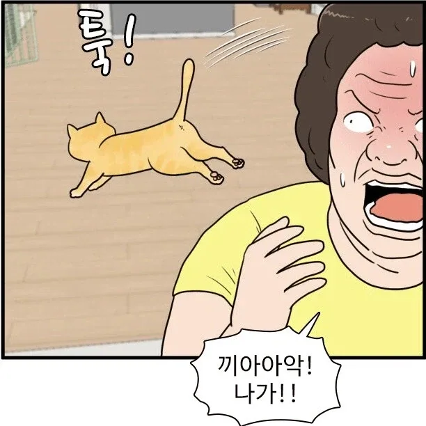캣맘을 완벽하게 표현한 만화