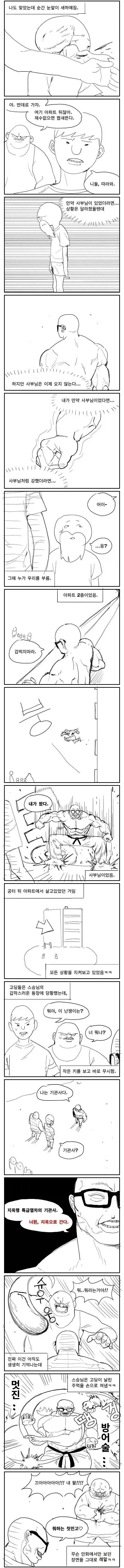 멸치 세명이 무신을 만난 만화