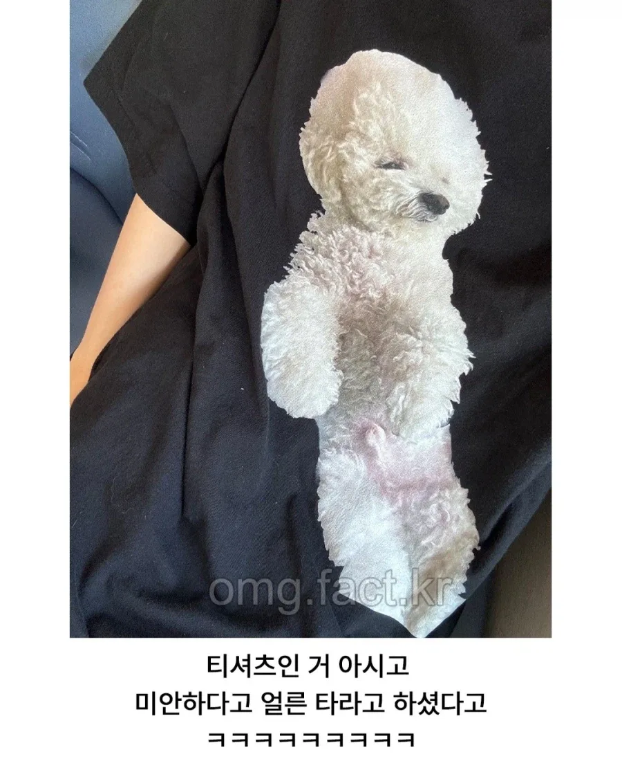 ??? : 강아지 안고 택시 타시면 안됩니다