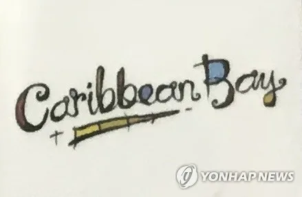 '숏컷 위장' 캐리비안 베이 女탈의실 불법촬영 20대 남성 체포