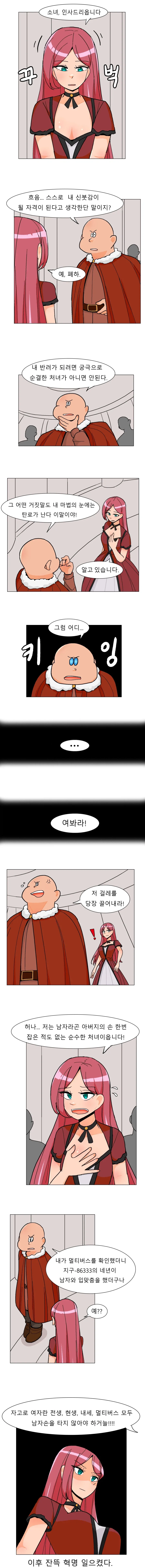 처녀충 왕의 반려가 되려는 만화.manhwa