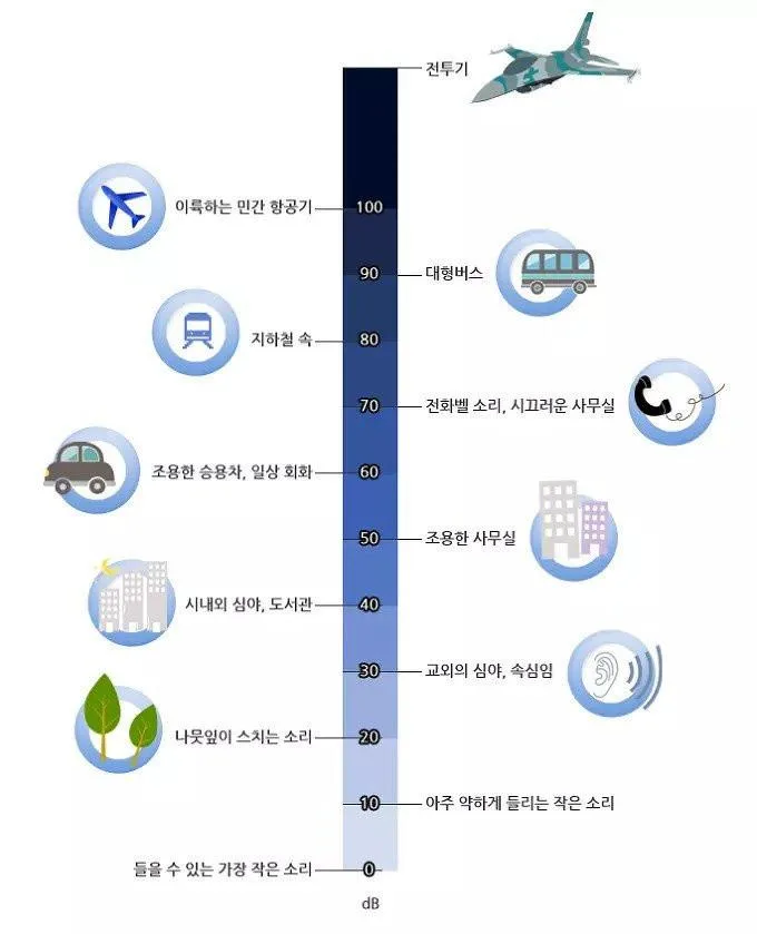 소음순 정리