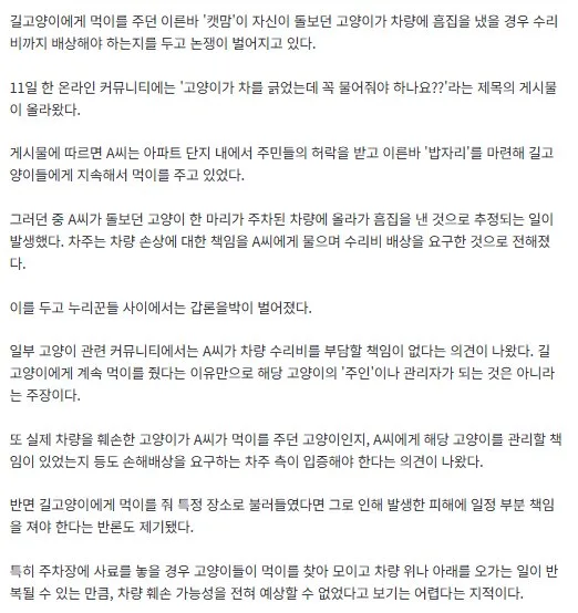 길고양이가 차량에 흠집…캣맘에 수리비 요구하자 "주인도 아닌데"