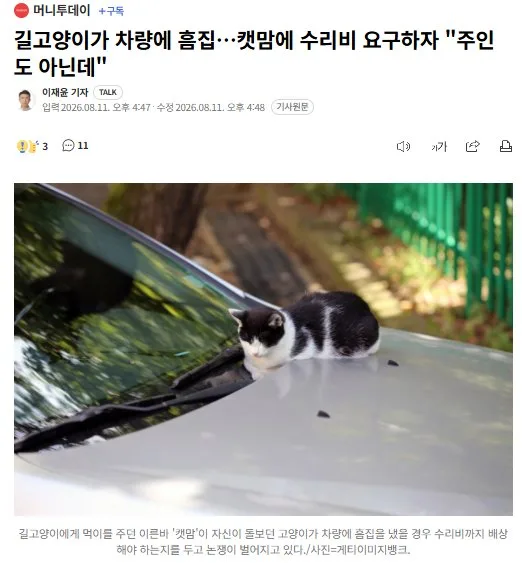 길고양이가 차량에 흠집…캣맘에 수리비 요구하자 "주인도 아닌데"