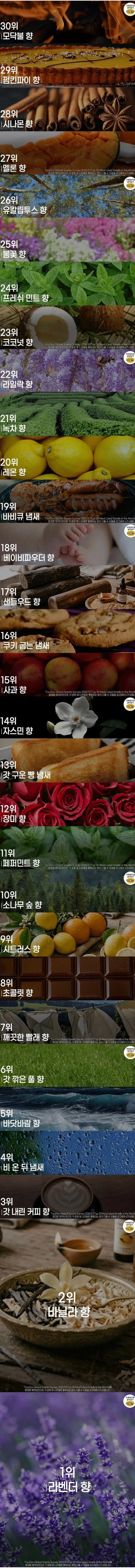 사람들이 가장 좋아하는 향 순위.jpg
