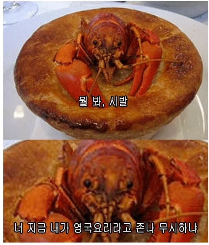 세계 각국의 랍스터 파이.jpg