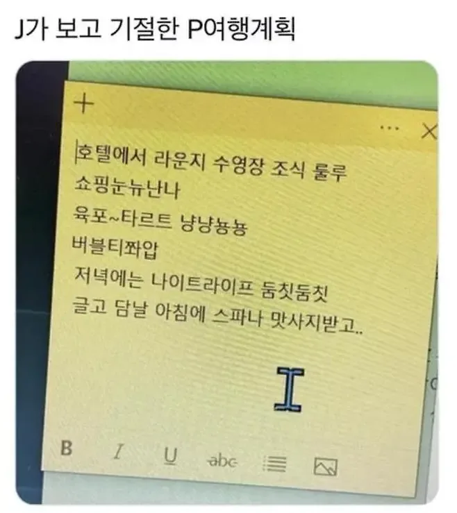J가 보고 혼절해버린 P의 여행계획