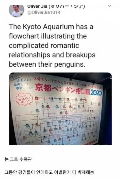 image.png 연애 관계를 박제 해놓은 회사.jpg