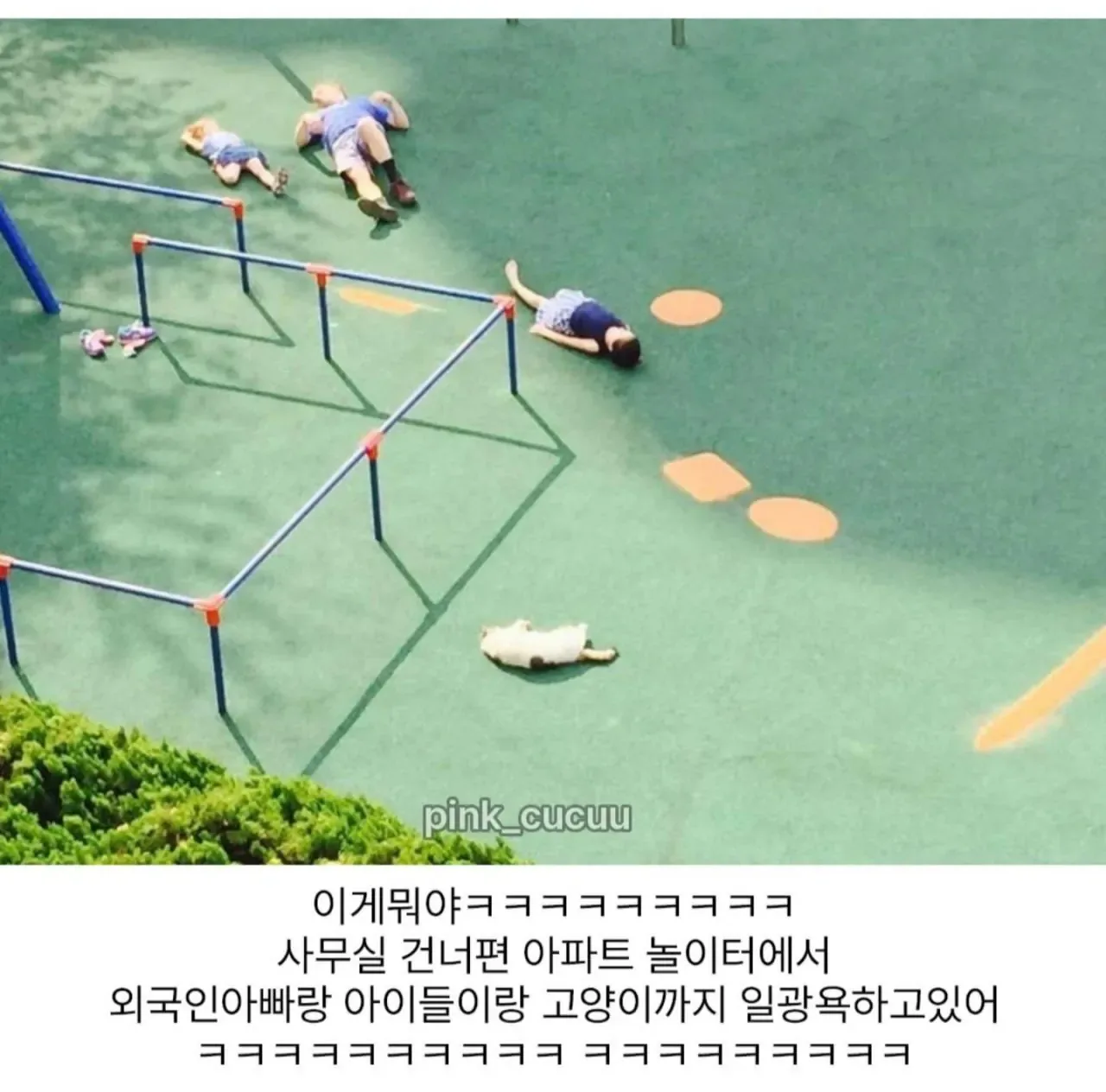따뜻한 어느날 창밖을 봤더니..