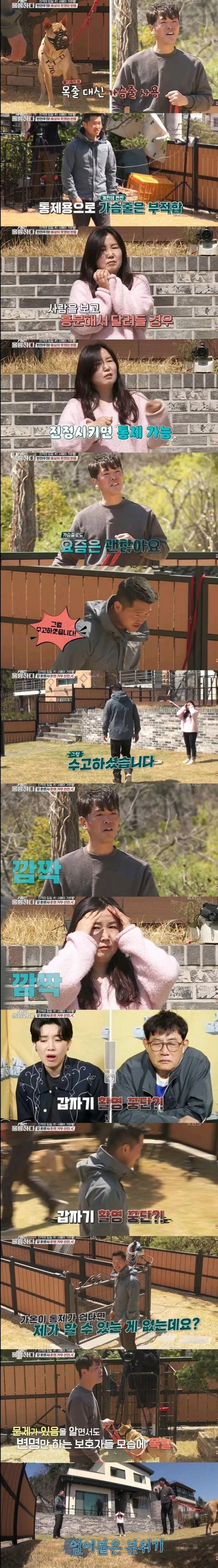 개물림 사고 대부분의 원인.jpg