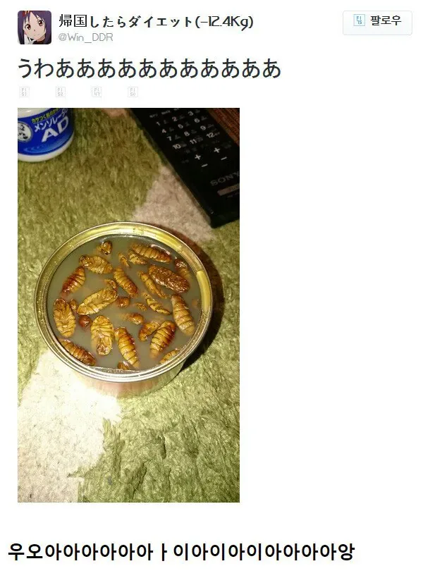 번데기 통조림 열고 충격받은 일본인