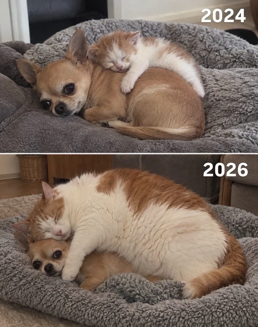 2년 동안 너무 변해버린 친구_1.webp