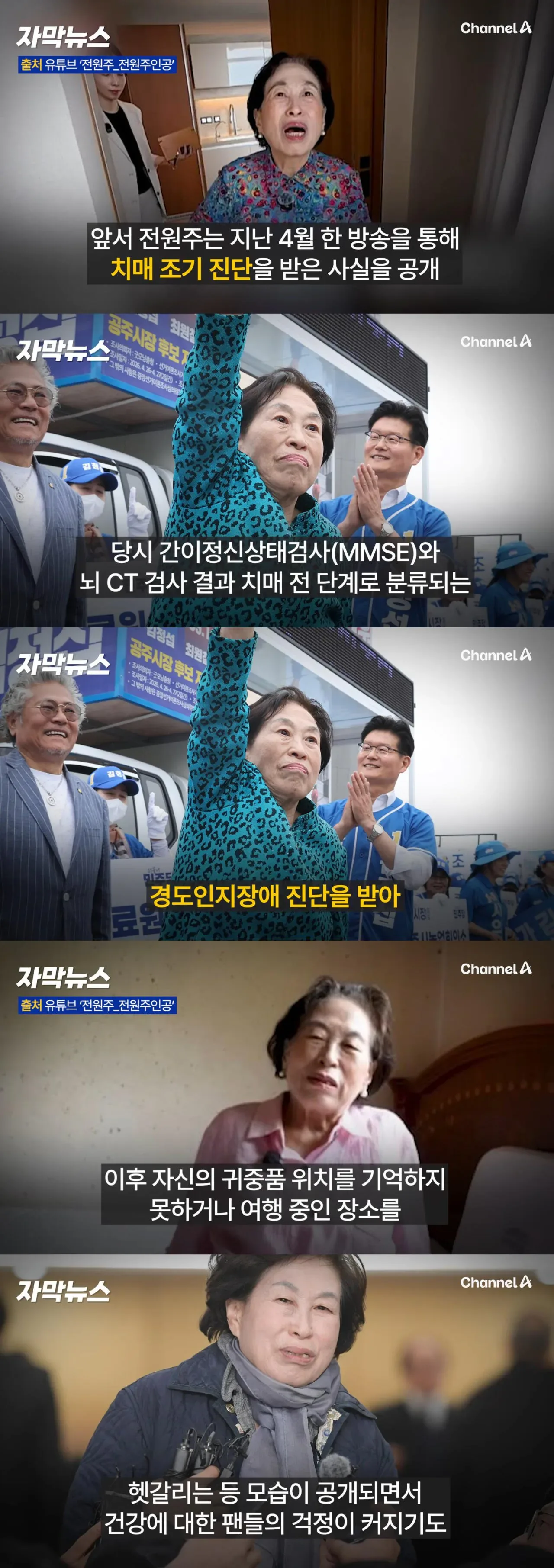 전원주 유튜브 중단 공지