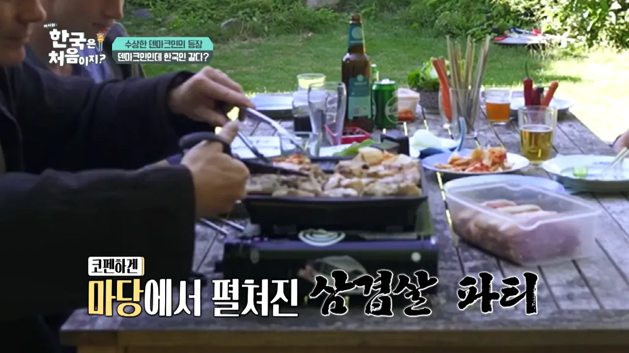 한국을 너무 좋아하는 덴마크인.jpg