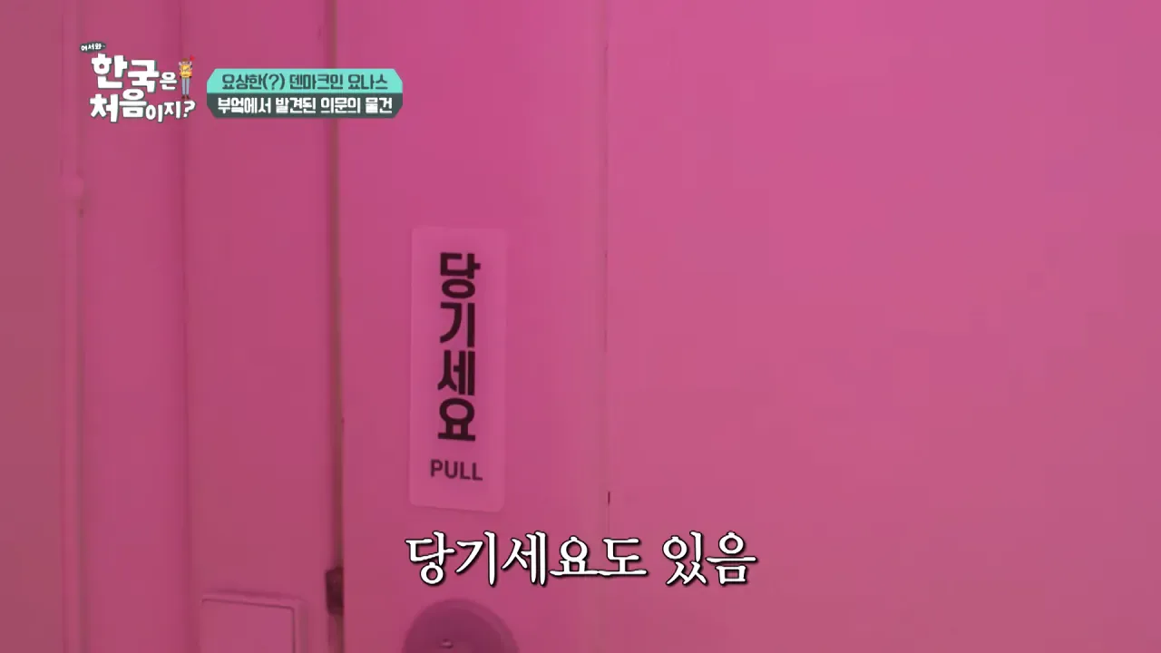 한국을 너무 좋아하는 덴마크인.jpg