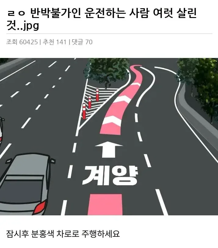 ㄹㅇ 반박불가인 운전하는 사람 여럿 살린 것