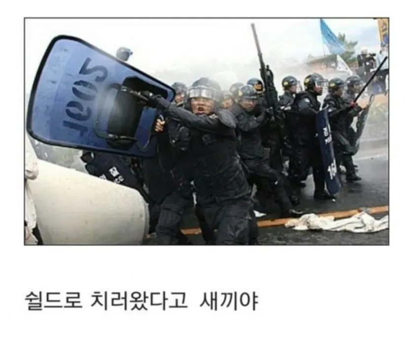 20세기 초. 동아시아를 달궜던 인류관 사건