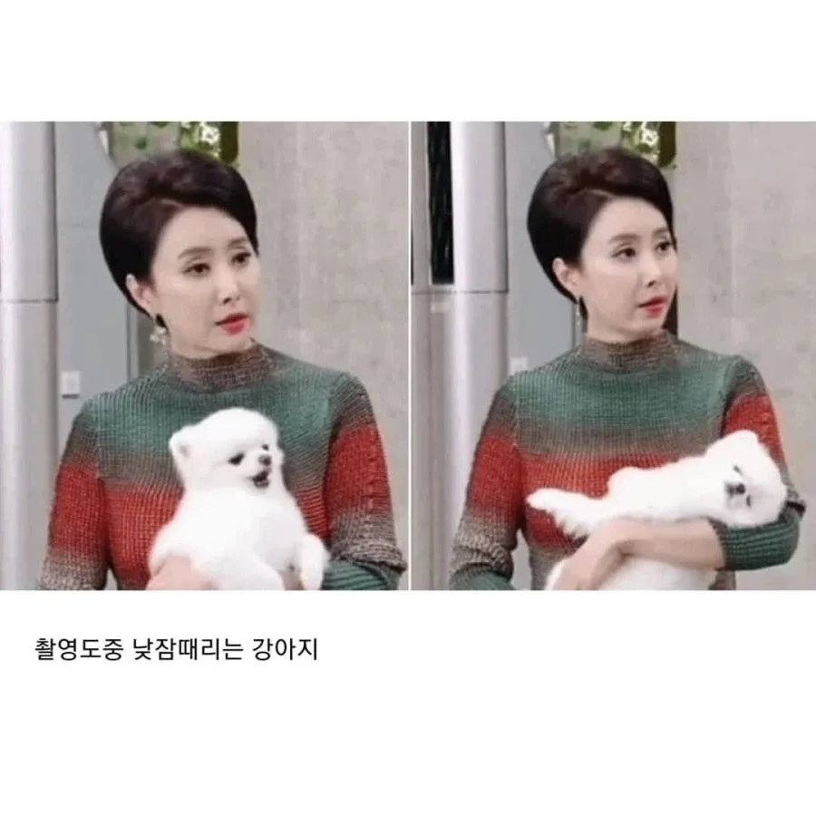 대한민국 방송계 7대 태도 논란