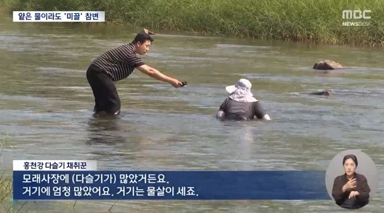 의외로 한국인을 많이 죽인 동물.jpg
