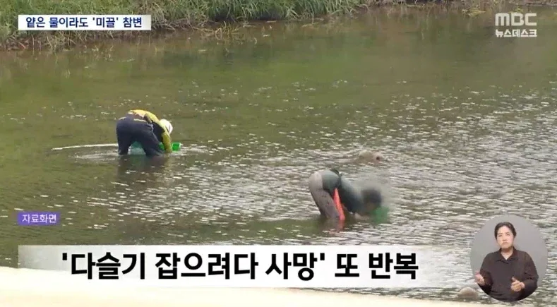 의외로 한국인을 많이 죽인 동물.jpg