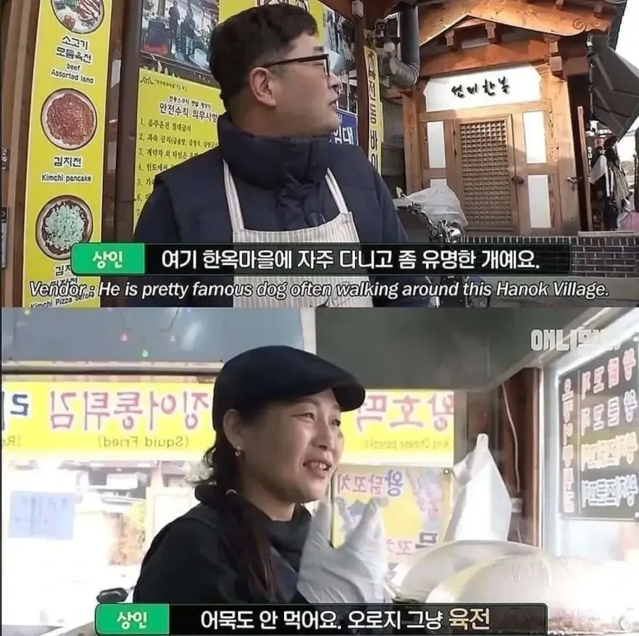절에사는 개가 식탐이없는이유 .jpg