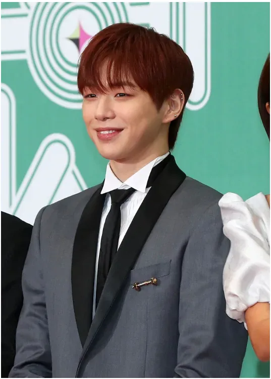 [단독]“K팝 스타 공연 적자, 가수 책임 아니다”…강다니엘 승소