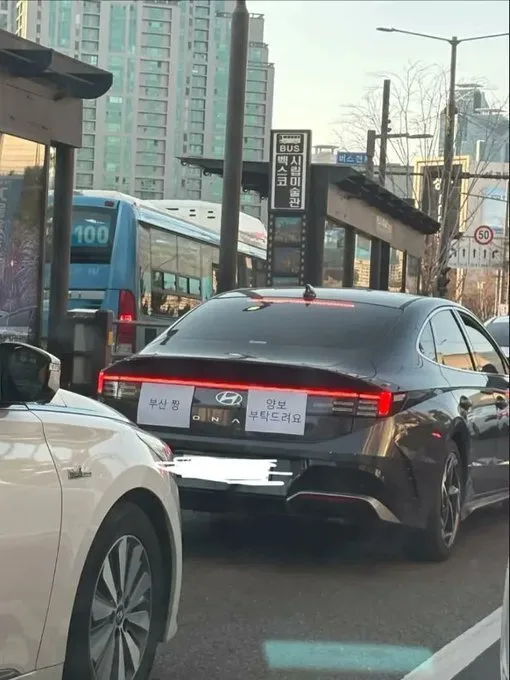 부산에 처음 놀러간 초보운전자.jpg