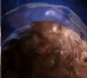 스타에서 짐 레이너가 진짜 ㅁㅊ놈인 이유_3.webp
