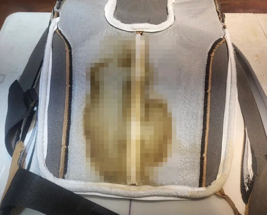 GV80 통풍시트에서 똥냄새가 나요