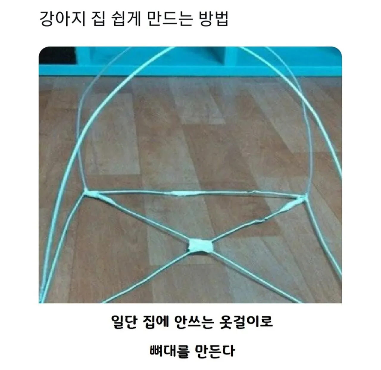 강아지집 쉽게 만드는 방법