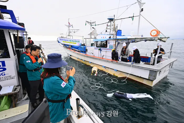 속초 앞바다에 마네킹 60개 던지는 이유
