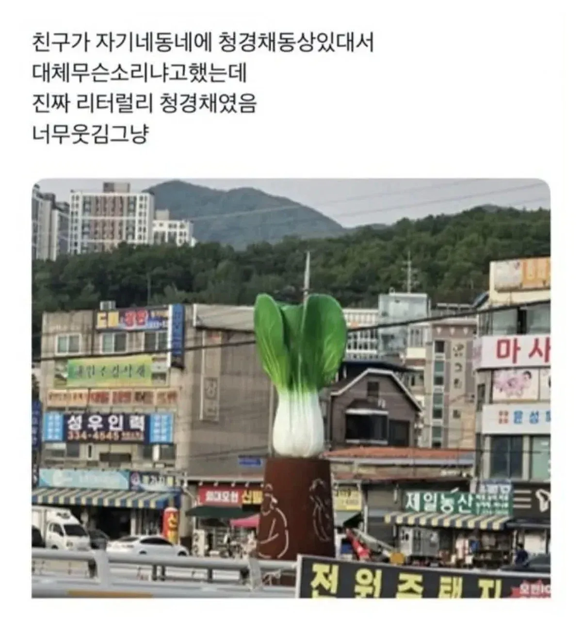 한국에 실존하는 청경채 동상