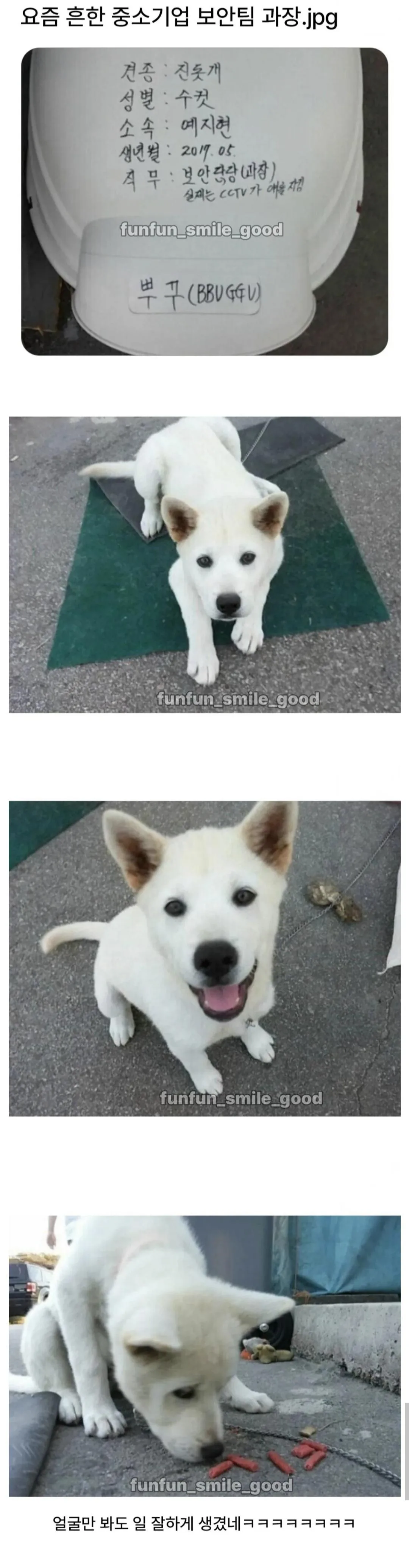 중소기업 보안팀 과장