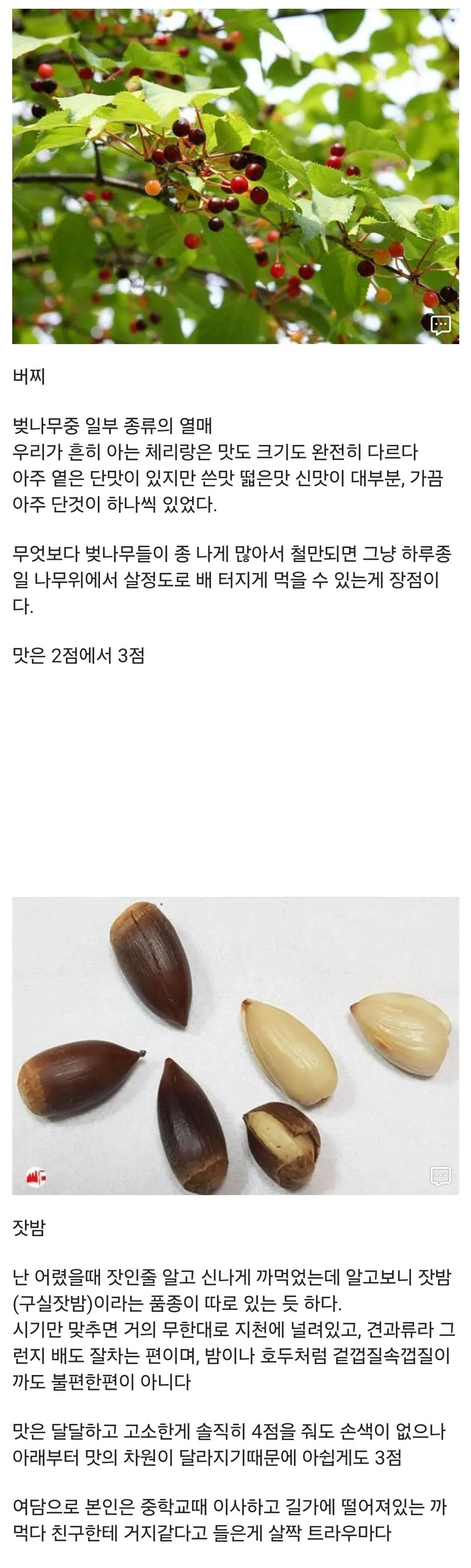 20대 공감) 20대 디씨인이 어렸을때 먹던 간식들 ㅋㅋㅋㅋ