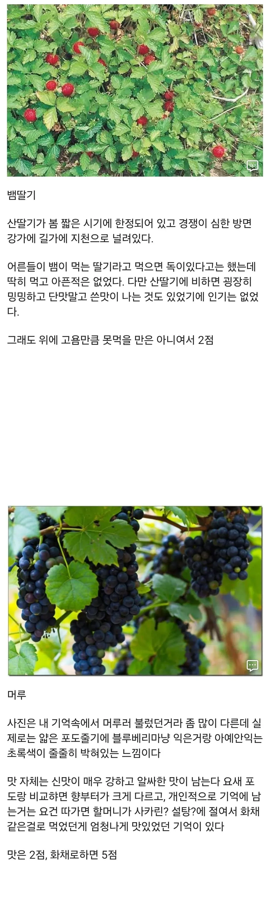 20대 공감) 20대 디씨인이 어렸을때 먹던 간식들 ㅋㅋㅋㅋ
