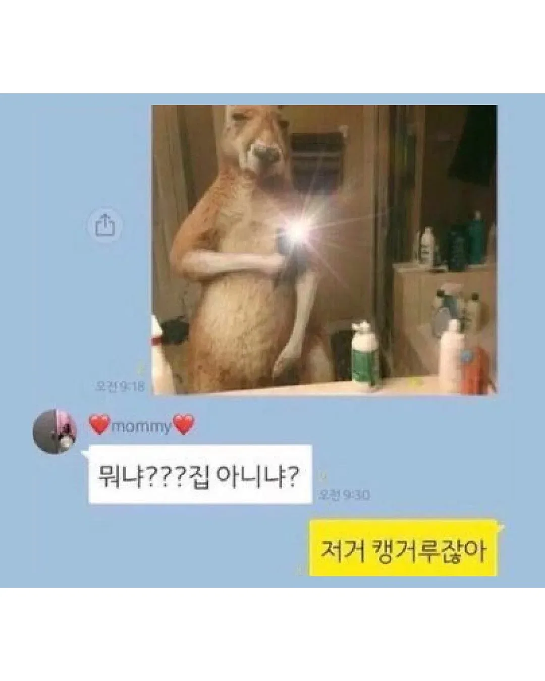 엄마 운전하다 문자보낸거 개웃기지 ㅋㅋㅋ